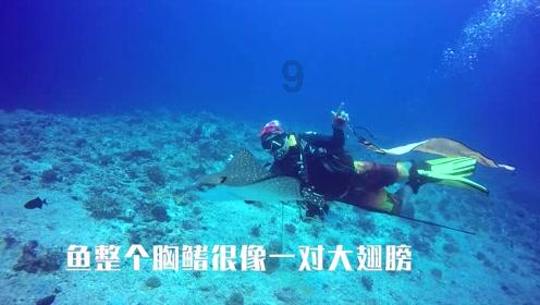 大脚车狂飙赛